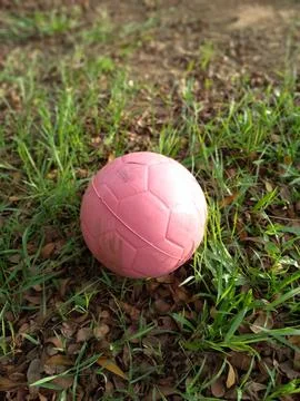 Close up of Red plastic ball on green grass Fotos Stock