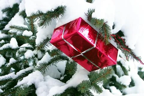 Close-up red present box on snowy Christmas tree Stock Photos