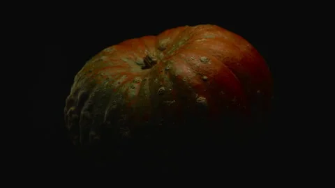 Close-up, red pumpkin from a farm field in a turning motion on a black Stock Footage 174759057