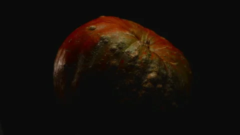 Close-up, red pumpkin in turning motion on a black background Stock Footage 176470059