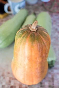 Close-up of red pumpkin. the view from the top Stock Photos