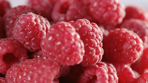 Close-up of red raspberries on light background. Loopable Stock Footage 39982012