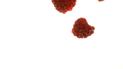 Close up red raspberries thrown floating in water 動画素材 94522542