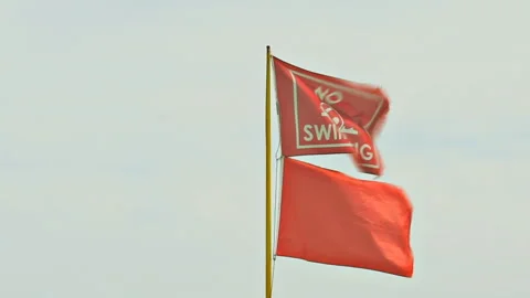 Close up red rip current flag and no swimming flag 스톡 동영상 293014611