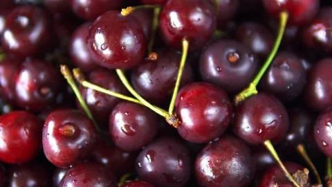 Close-up of red ripe cherry fruit Stock Footage 113011592