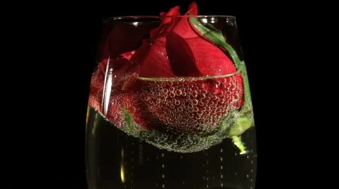 Close up of Red Rose with Champagne Stock Footage 21780262