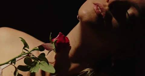 Close up of a red rose gently caressing the beautiful body of an Stock-Footage 279813478