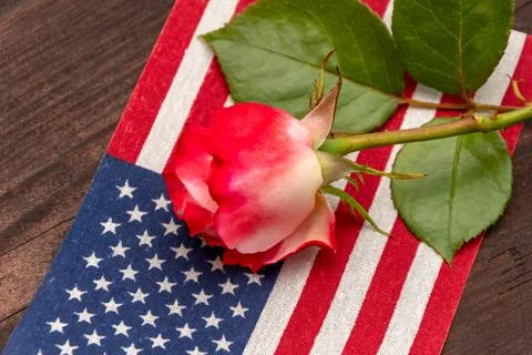 Close-up of a red rose resting on the flag of the United States of America, set 스톡 사진