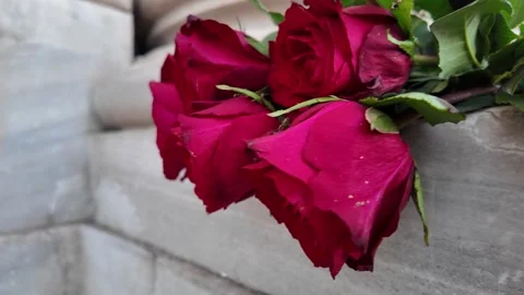 Close-up of Red Roses on Stone Monument Slow Motion 4K Stock-Footage 327482711