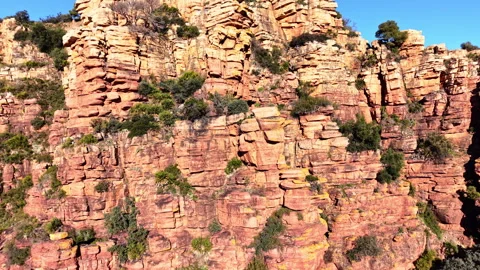 Close up of red sandstone cliff texture with vegetation Video stock 330489432