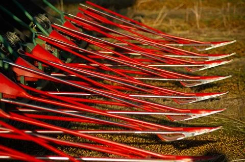 Close-Up Red Sharp Tractor Mowing Flax in Action Shot Stock Photos