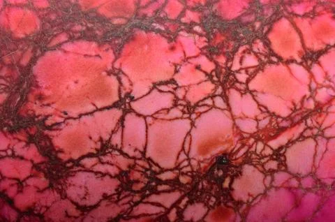 Close up of red stone as background Stock Photos