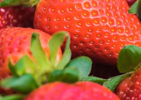 Close-up of red strawberries Stock Photos