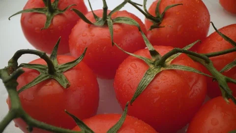 Close up of the red tomato with drops of water on the white background. Macro Stock Footage 115828085