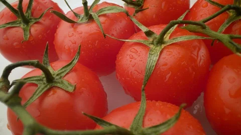 Close up of the red tomato with drops of water on the white background. Macro Stock Footage 115828181