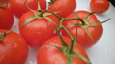 Close up of the red tomato with drops of water on the white background. Macro Video stock 115828561