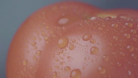 Close-Up of Red Tomato with Water Drops Moving from Left to Right Video stock 330941814