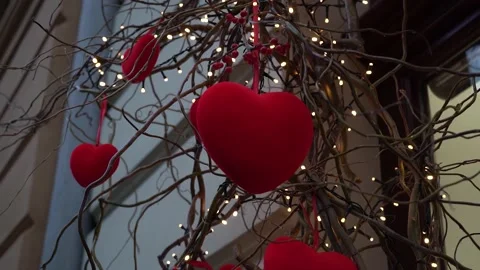 Close-up of red velvet hearts on willow branches among garland of lanterns Stock Footage 232404151