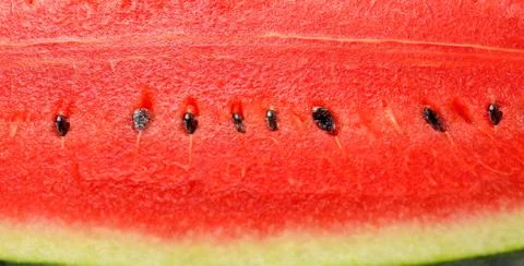 Close up red watermelon background Foto stock
