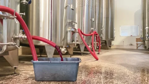 Close up red wine pouring to container for testing wine by giant cylinders... Stock Footage 292898160