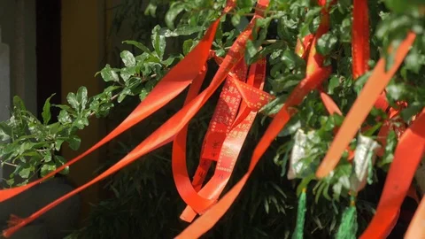 Close-up of red wish stripes ribbons waving from a tree in a chinese temple Stock Footage 101676170