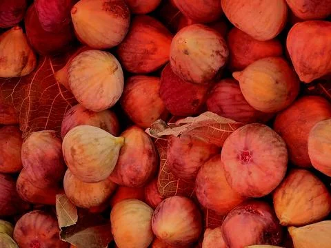 A close-up of reddish figs, beautiful red Anjeer Figs The fig is the edible.. Stock Photos