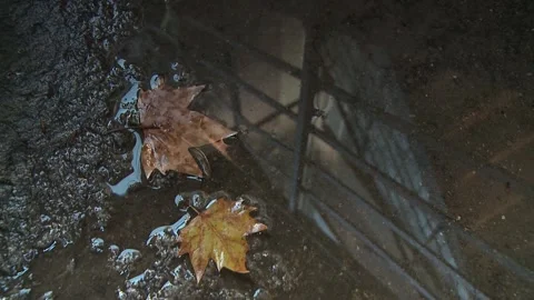 A Close-up of a reflection in a puddle of water Stock Footage 311923977