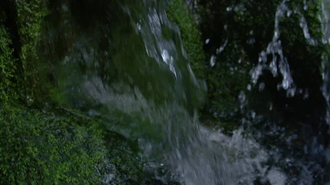 CLOSE UP: Refreshing cold river water courses through the dreary dark forest. Stock Footage 144948230