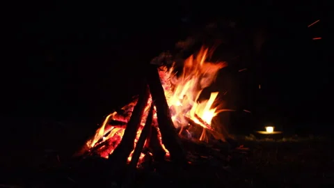Close up of relaxing burning campfire and light lantern in night forest Stock Footage 325964392