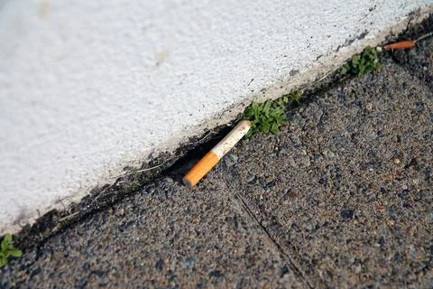 Close up of the remaining part of a partially smoked cigarette thrown on the  Stock Photos