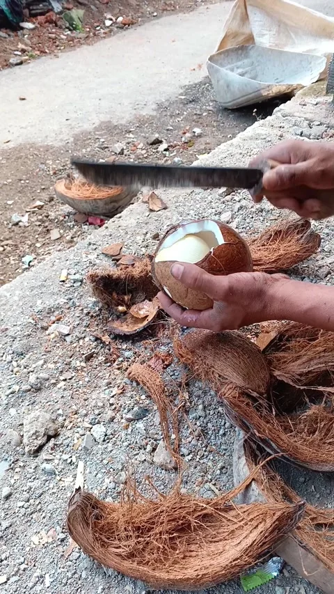 Close-up of removing coconut shell with a sharp blade to reveal fresh organic. Stock Footage 335018993