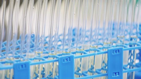 Close up in research lab of tubes in a rack for scientific diagnostic test Stock Footage 129919066