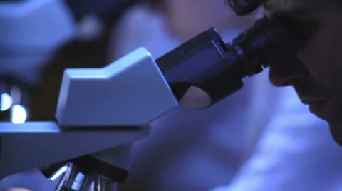 Close up of a researcher looking into a microscope in the lab Video stock 33881172