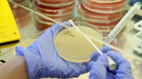 Close up researcher work with tubes in lab Video stock 52161345