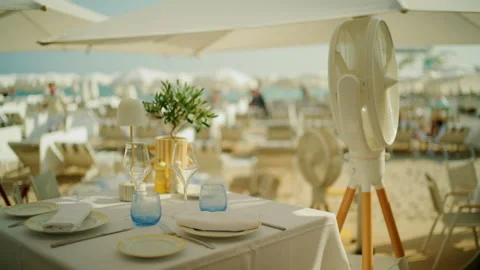 Close-up of a restaurant table with wine glasses, an olive tree centerpiece and Stock Footage 344791885