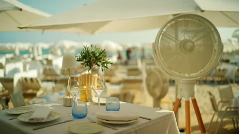 Close-up of a restaurant table with wine glasses and an olive tree centerpiece, Stock Footage 344792566
