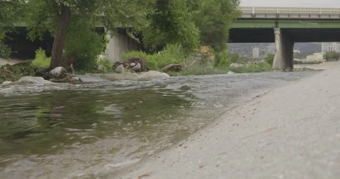 Close Up Reverse Riverbank View with Vegetation in Los Angeles River Corridor Stock Footage 333647795