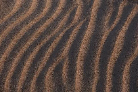 Close-up of rhythmic sand waves created by wind in the desert. Textured abstr Foto stock