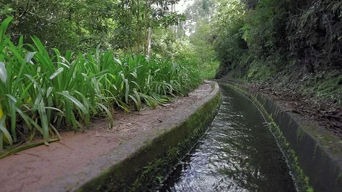 Close up of "Ribeiro Bonito" footpath (Levada do Rei), Santana, Madeira island Stock Footage 119962770
