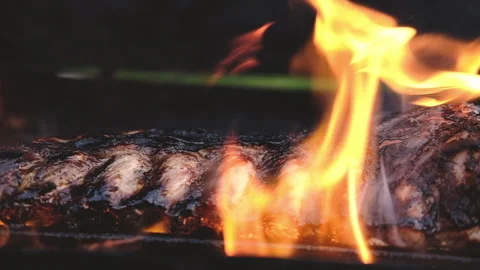 Close-up of ribs fried on open fire on grill Stock Footage 161900005