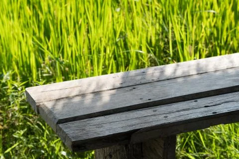 Close up rice in the field. Foto stock