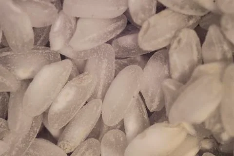 Close up of the rice grain Stock Photos