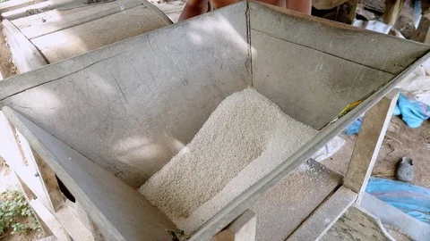 Close up of rice grains inside an old-fashioned wooden huller for processing Stock Footage 79476227