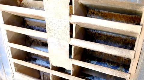 Close up rice production Stock Footage 45608166