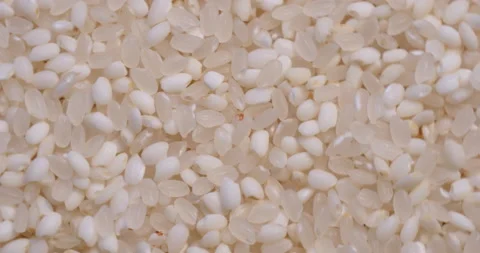 Close up of  rice seed in rotation 库存影片 162616953