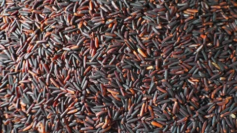 A close-up of Riceberry rice. Stock Footage 275667543