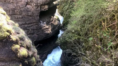 Close-up of a rift Stock-Footage 308109649