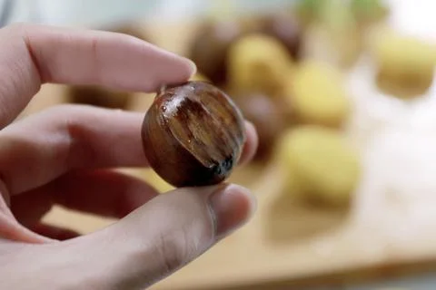 Close-up of ripe chestnut Stock Photos