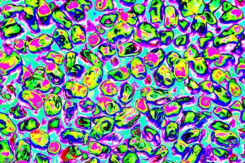 Close-up of ripe dates on a white background. Changed color scheme. colorful  Stock Photos