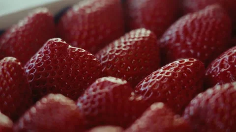 Close up of ripe delicious strawberries harvest Video stock 230929853